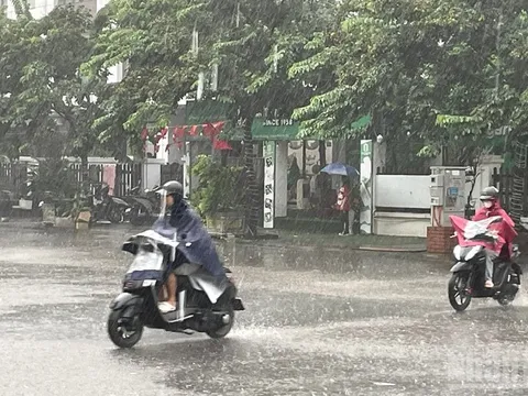 Nồm ẩm quay trở lại, mọi người cần lưu ý gì để bảo vệ không gian sống?