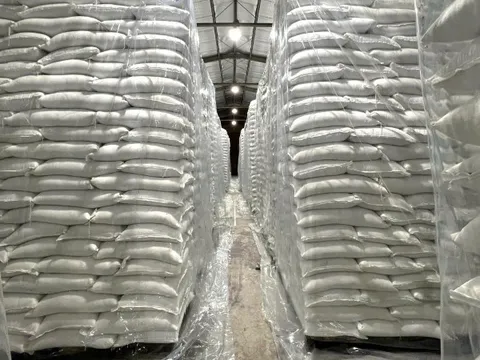 Hoàn thành nhập kho 500.000 tấn lương thực dự trữ quốc gia năm 2025