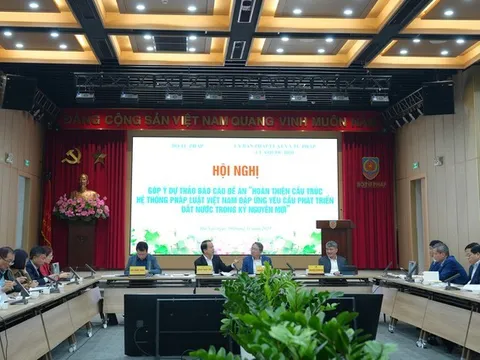 Góp ý hoàn thiện cấu trúc hệ thống pháp luật trong giai đoạn phát triển mới