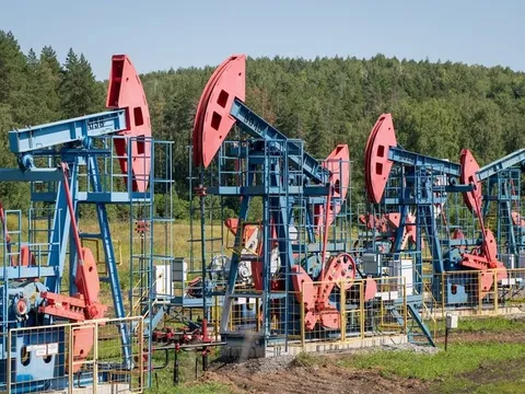 Giá xăng dầu hôm nay (4-12): Tăng nhẹ