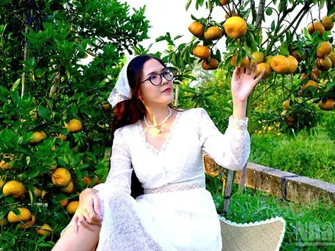 Quýt hồng vào mùa đẹp nhất năm, mở cửa đón khách