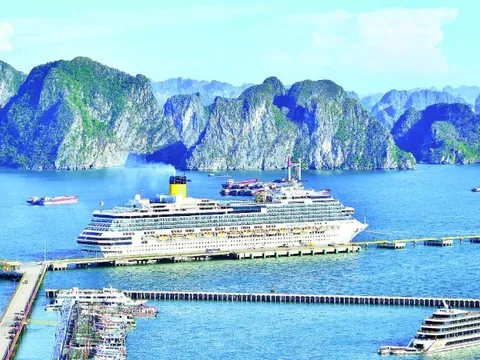 Quảng Ninh: Tăng cường kết nối, quảng bá du lịch