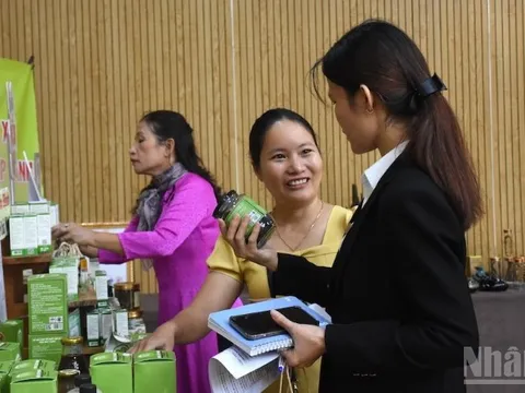 Du lịch Đà Nẵng hướng đến chuyển đổi xanh, bền vững