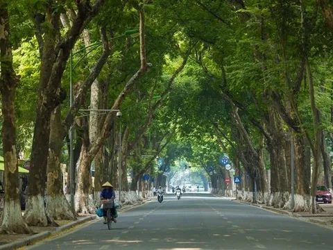 Thời tiết hôm nay (19-12): Bắc Bộ nắng ấm, Trung Bộ mưa dông