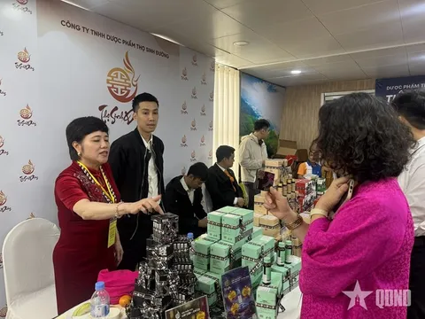 Kết hợp y học cổ truyền và y học hiện đại: Những bước tiến trong dự phòng và điều trị bệnh lý mạch máu não