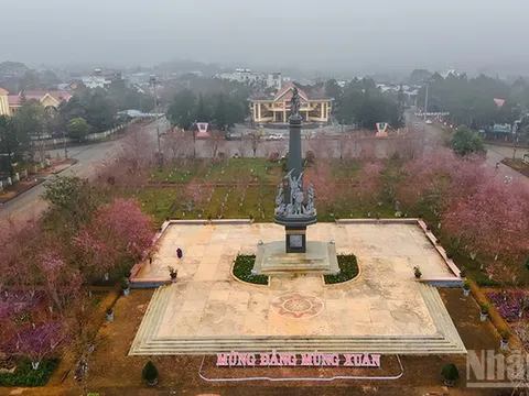 Quảng Ngãi tổ chức chuỗi hoạt động văn hóa, du lịch, thể thao chào năm mới 2026