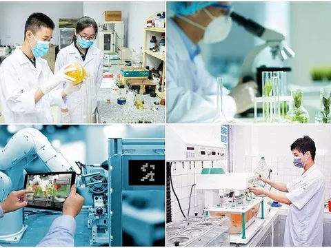Nâng cao năng lực cho các tổ chức nghiên cứu khoa học, phát triển công nghệ công lập