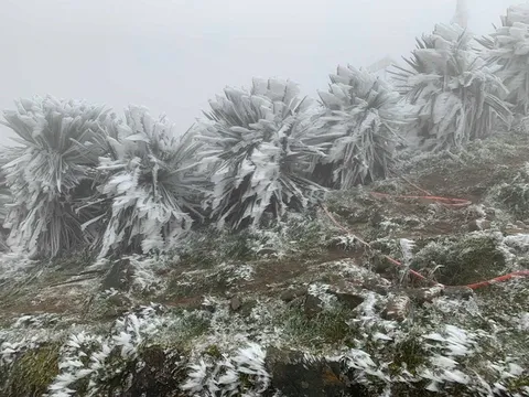 Thời tiết hôm nay (6-1): Miền Bắc đón đợt không khí lạnh, trời rét đậm, có nơi rét hại