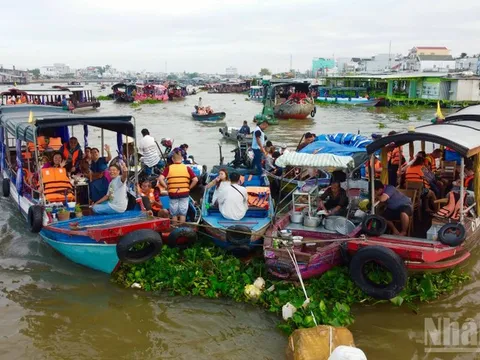 Lênh đênh chợ nổi, ngắm bình minh Tây Đô