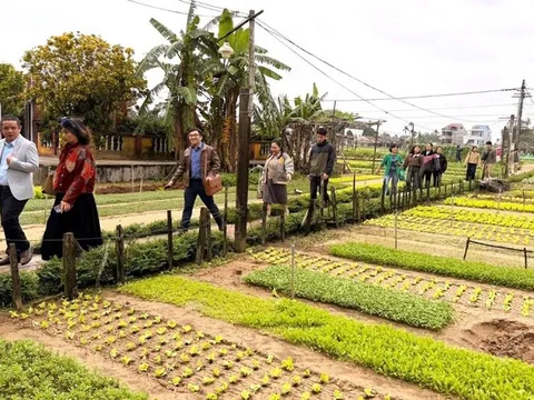 Tìm hướng kết nối, đa dạng hóa du lịch làng nghề Hội An