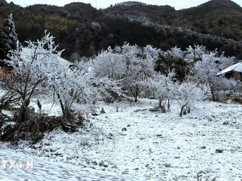 Thời tiết hôm nay (23-1): Hà Nội trời rét đậm, rét hại, Tây Bắc có nơi dưới 6 độ C