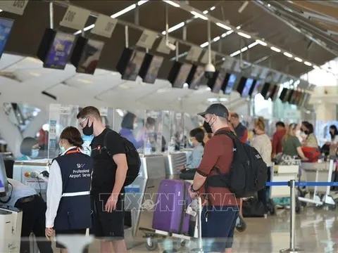 Chuyên gia khuyến cáo chủ động phòng tránh dịch bệnh do virus Nipah