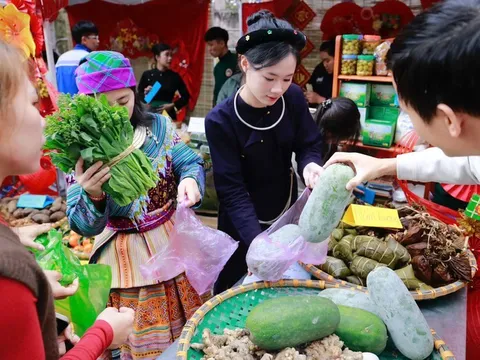 Bảo đảm đủ thực phẩm, giá cả ổn định, không để ùn ứ rác thải dịp Tết