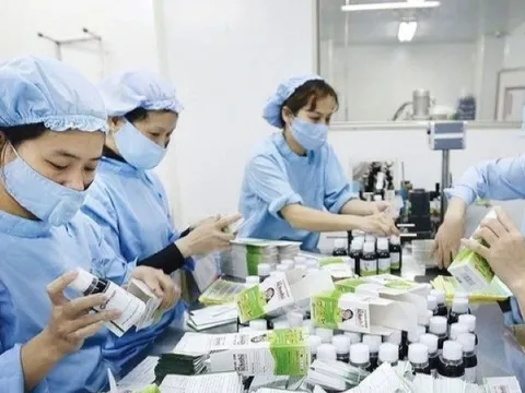 Quy định mới nhất bảo đảm an toàn thực phẩm trong sản xuất thực phẩm bảo vệ sức khỏe