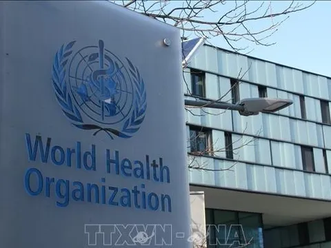 Gam màu sáng tối trong bức tranh y tế thế giới