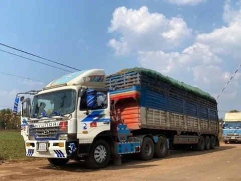 Tháo gỡ vướng mắc trong triển khai Nghị định 46/2026/NĐ-CP về an toàn thực phẩm