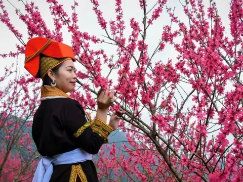 Rực rỡ Lễ hội "Sắc đào xứ Lạng - kết nối muôn phương"