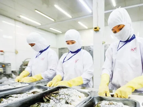 Tìm giải pháp để nông sản trụ vững, mở rộng thị trường