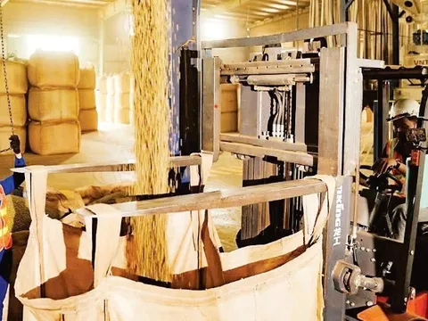Duy trì đà tăng trưởng xuất khẩu