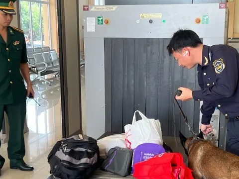Ngăn chặn hành vi gian lận và lẩn tránh thuế