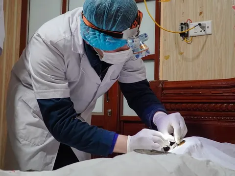 Chấn chỉnh thực hiện quy định về hiến, lấy, ghép mô, bộ phận cơ thể người