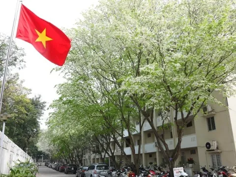 Thời tiết hôm nay (11-3): Miền Bắc rét về đêm và sáng, miền Trung mưa giảm