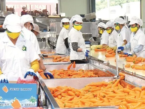 Gia tăng nhận diện thương hiệu nông sản Việt Nam