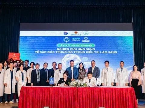 Hợp tác thúc đẩy nghiên cứu và ứng dụng tế bào gốc trong điều trị lâm sàng