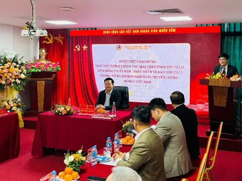 Thúc đẩy nghiên cứu, bảo tồn, ứng dụng và đào tạo trong lĩnh vực y học cổ truyền