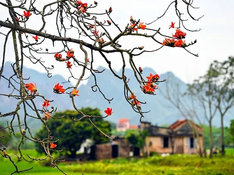 Thời tiết hôm nay (19-3): Miền Bắc trời nắng ấm, miền Nam nắng nóng