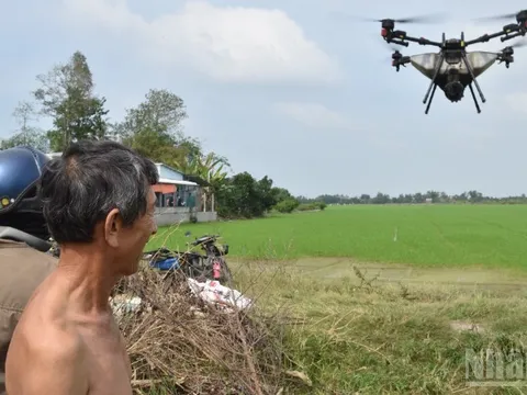 Người nông dân trước làn sóng AI: Từ người làm ruộng đến người vận hành dữ liệu