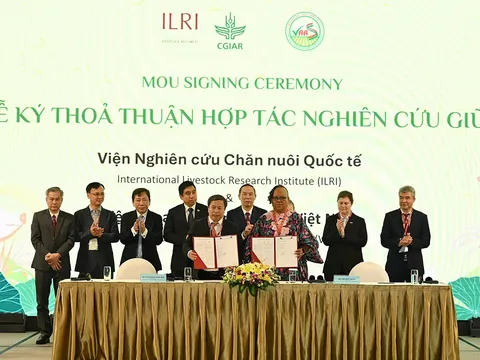 Hợp tác quốc tế thúc đẩy chuyển đổi ngành chăn nuôi theo hướng bền vững