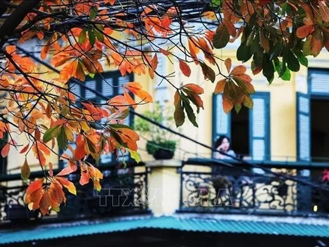 Thời tiết hôm nay (26-3): Bắc Bộ sáng sương mù, trưa hửng nắng