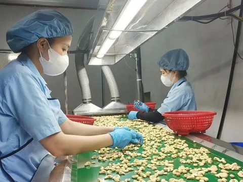 Nông sản xuất khẩu: Chủ động trước 'cú sốc' Trung Đông