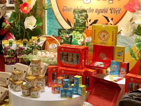 “Sức sống hàng Việt” số 4: Đẩy mạnh tiêu dùng nội địa qua mô hình bán hàng đa kênh