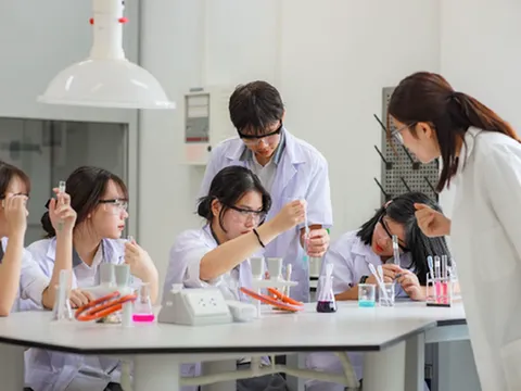 Xây dựng Quy chế tổ chức và hoạt động của cơ sở giáo dục đại học