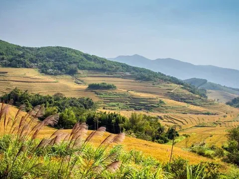 Mặt trời Hòa Bình: Đòn bẩy và rủi ro từ cuộc chơi trái phiếu doanh nghiệp