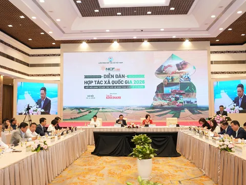 Tái định vị hợp tác xã trong hệ sinh thái kinh tế tư nhân