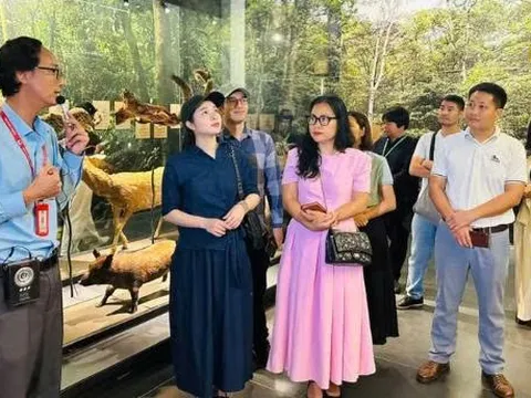 Thúc đẩy liên kết du lịch Hà Nội với các địa phương tại VITM 2026