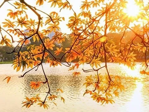 Thời tiết hôm nay (14-4): Nắng nóng trên diện rộng, có nơi 40 độ C