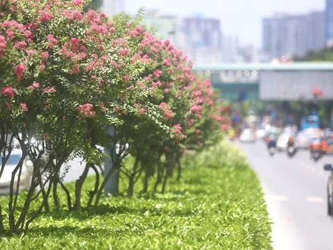 Thời tiết hôm nay (16-4): Cả nước phổ biến ngày nắng, nhiều khu vực xuất hiện nắng nóng