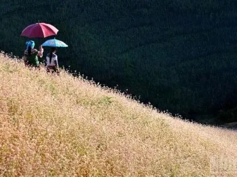 Du lịch Việt Nam tăng trưởng ấn tượng trong quý I: Khẳng định sức hút điểm đến an toàn, hấp dẫn