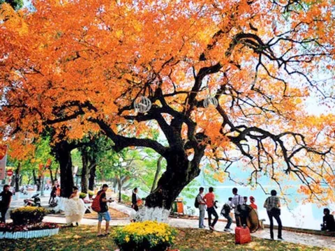 Thời tiết hôm nay (21-4): Bắc Bộ nhiều nơi ngày nắng, rải rác có mưa rào