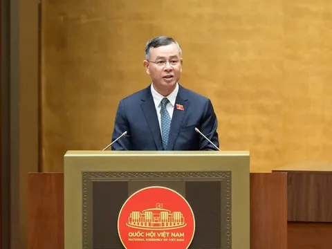 Đề xuất không quy định cứng ngưỡng doanh thu chịu thuế với hộ, cá nhân kinh doanh để tăng tính linh hoạt