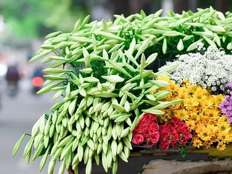 Thời tiết hôm nay (22-4): Miền Bắc tăng nhiệt trước khi chuyển mát, miền Trung nắng nóng gay gắt