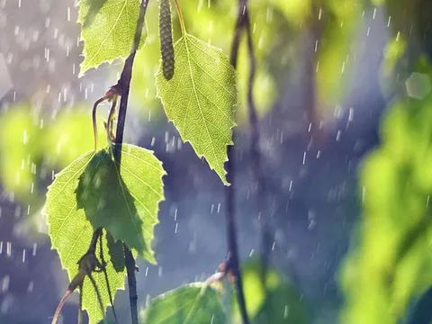 Thời tiết hôm nay (25-4): Bắc Bộ và Trung Bộ có mưa dông, Nam Bộ nắng nóng