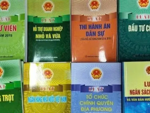 Tăng cường kỷ luật, kỷ cương trong xây dựng, ban hành văn bản quy định chi tiết luật, pháp lệnh, nghị quyết
