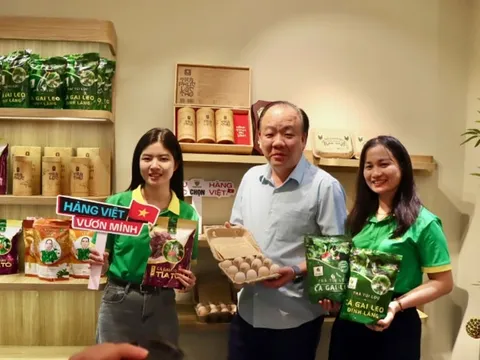 Từ truyền thống đến số hóa: Hành trình nâng tầm hàng Việt
