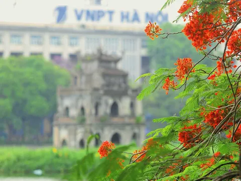 Thời tiết hôm nay (6-5): Ba miền ngày nắng, chiều tối có mưa
