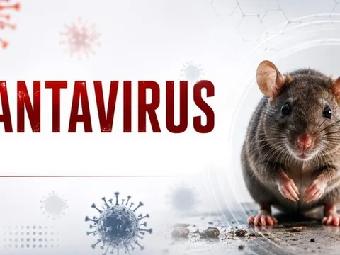 Bộ Y tế thông tin về xét nghiệm virus Hanta